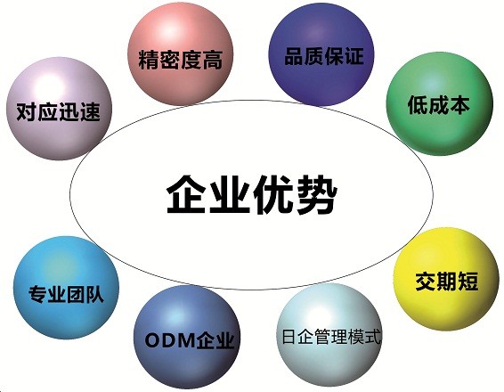 公司优势-中文.jpg